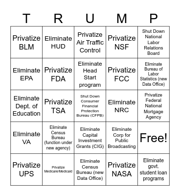 F*Elonies: Abolish, Eliminate or Privatize Bingo Card