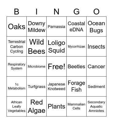 SEBS Bingo Card