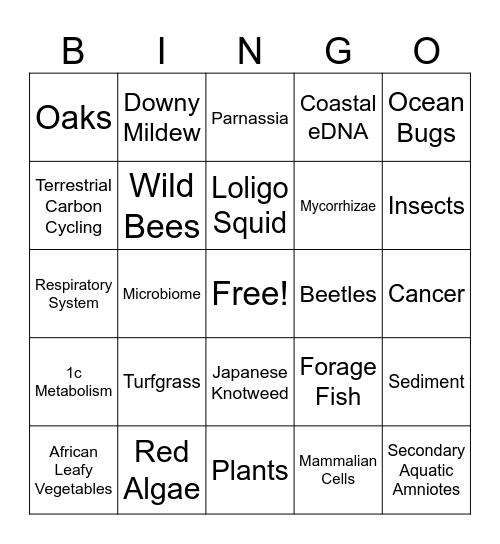 SEBS Bingo Card