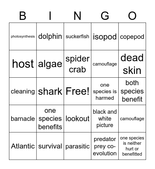 Symbiotic Relationships Bingo Card