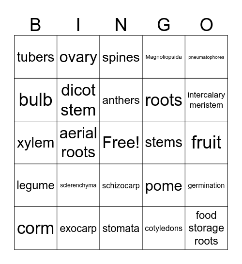 Exam 1 Vocab Bingo Card