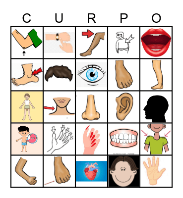 Partes del Cuerpo - Mr. Kelly Bingo Card