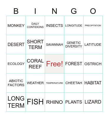 REVIEW BINGO Card