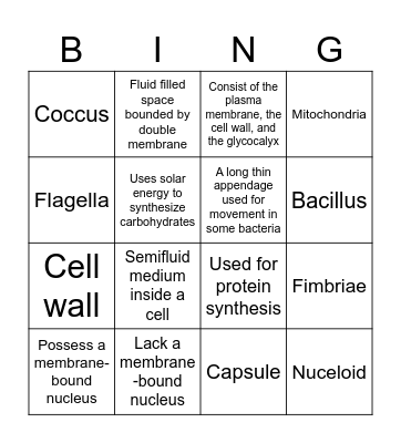 Cells components Bingo Card