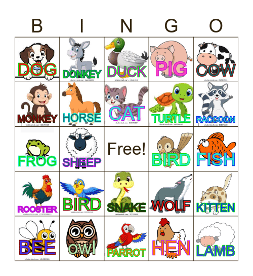ANIMAL Bingo Card