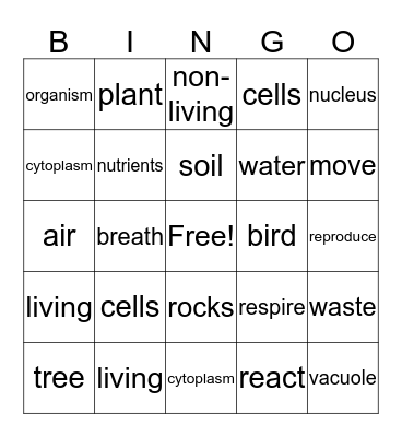 Science Bingo Card