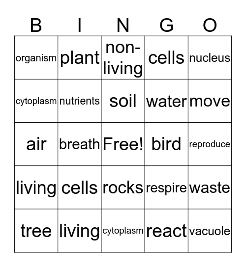 Science Bingo Card