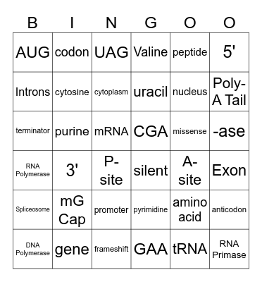 Unit 6 Review Biology Honors Bingo Card
