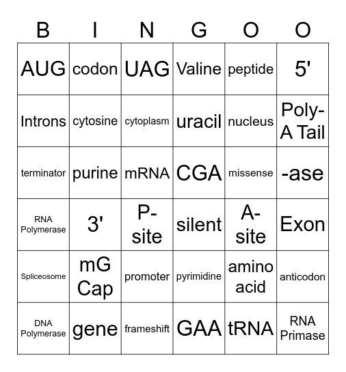 Unit 6 Review Biology Honors Bingo Card