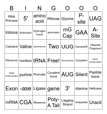 Unit 6 Biology Honors Review Bingo Card