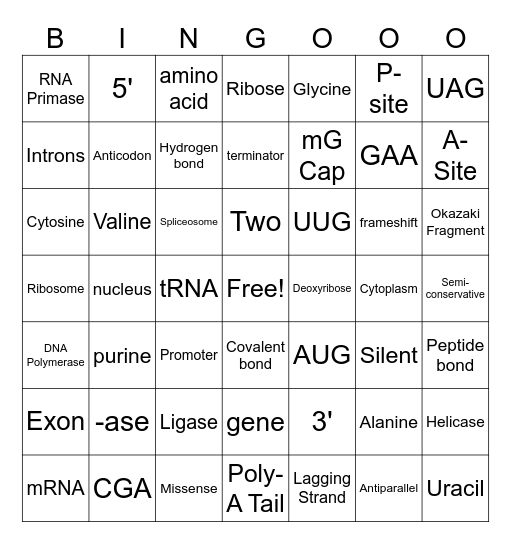 Unit 6 Biology Honors Review Bingo Card