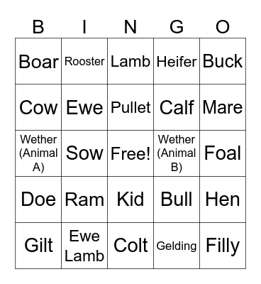 Livestock Terminology Bingo Card