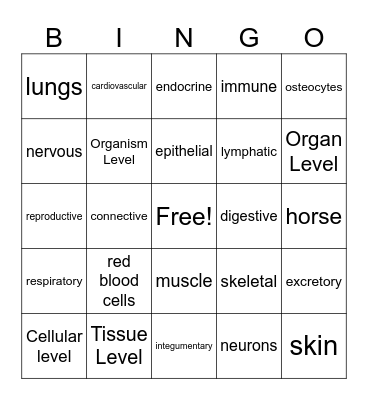 Body Systems BINGO Card