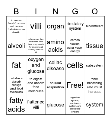 7.3 Unit Test Review Bingo Card