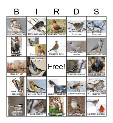 Birdy Bingo Card
