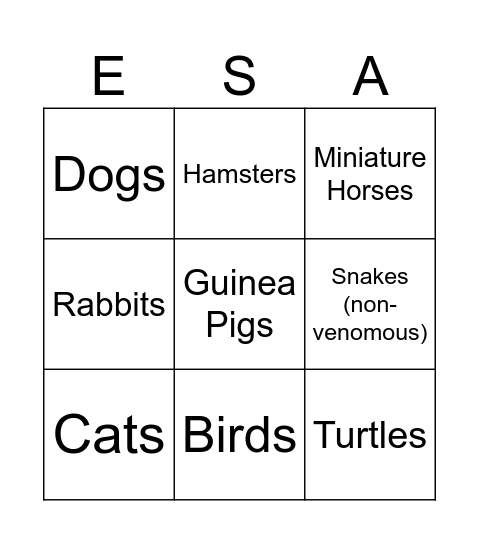 E____________ S____________ A______________ Bingo Card