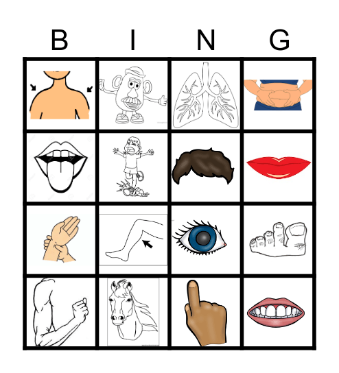 BODY/verbs Bingo Card