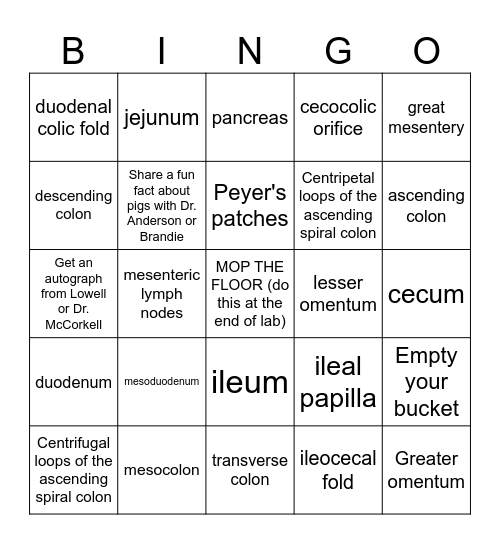 Porcine GI BINGO Card