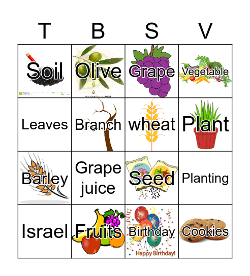 TU BISHVAT Bingo Card