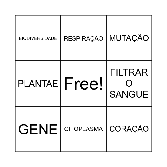 Bingo 1ª série Bingo Card