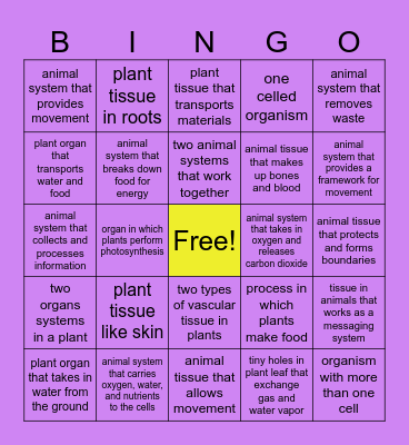Plant & Animal Body Bingo Card