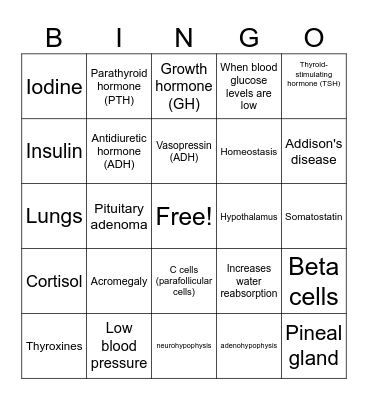 Hormone Havoc Bingo Card