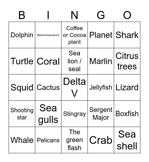 Nature Bingo    name: _____________ Bingo Card