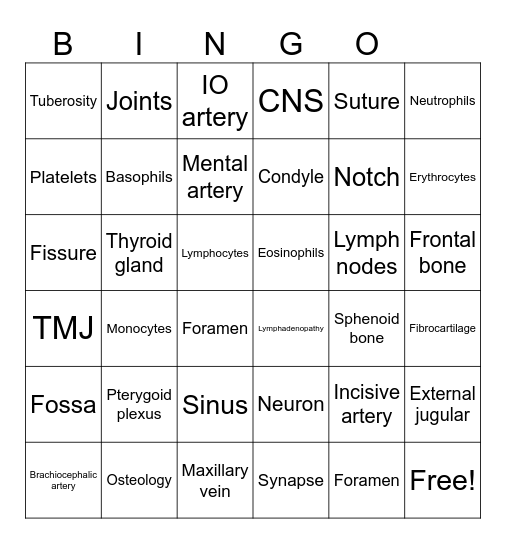 Chapter 4 Bingo Card