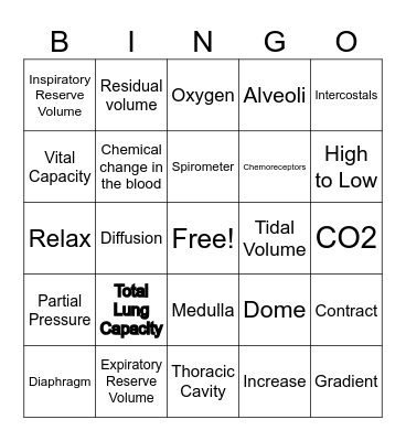 Respiratory System Bingo Card