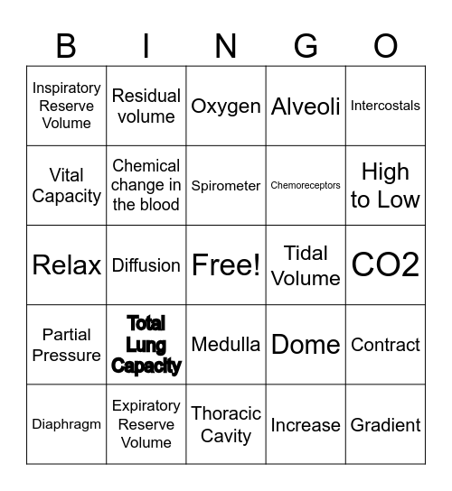 Respiratory System Bingo Card