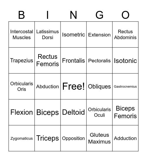 Muscular System Bingo Card