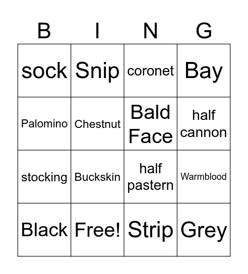 Colors & Markings Bingo Card