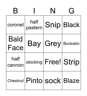 Colors & Markings Bingo Card