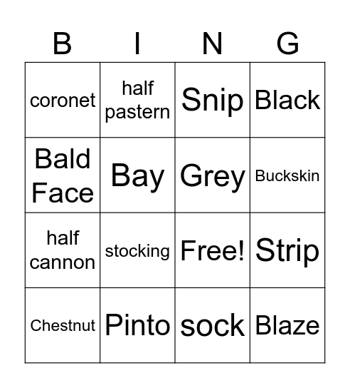 Colors & Markings Bingo Card