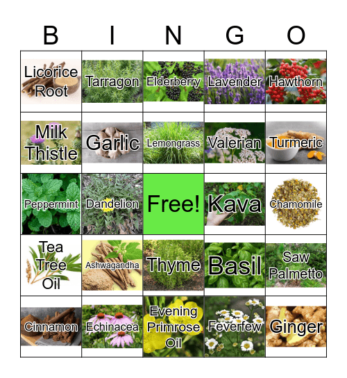Herb Bingo Card