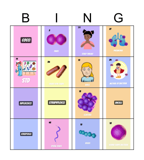 La BC Bingo Card