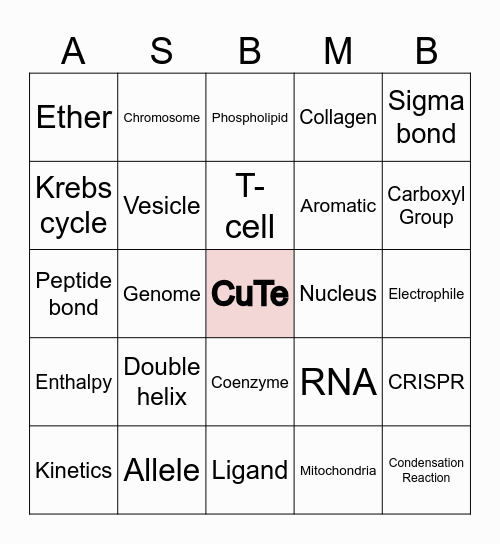 BMB Valentine's Bingo Card