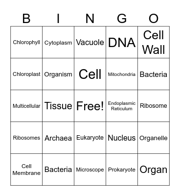 Cell Theory and Cells Bingo Card
