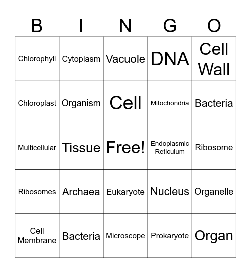 Cell Theory and Cells Bingo Card