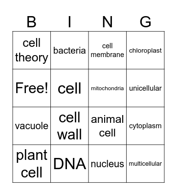 Cell Biology Bingo Card