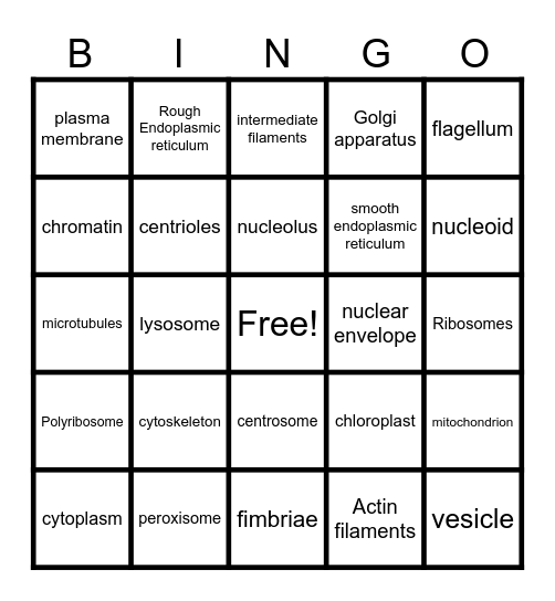 Cell Components Bingo Card