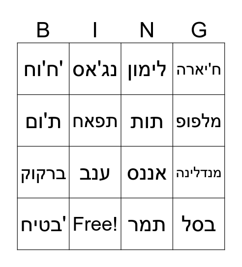 Ravit 1 Bingo Card