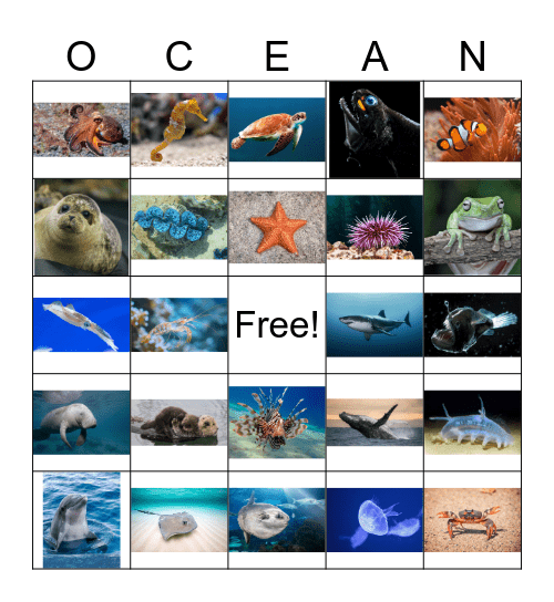 Sea Animals Bingo Card