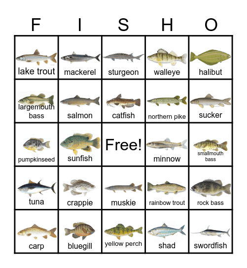 FISH BINGO Card