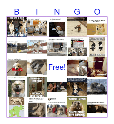 Tutoring Center Bingo Card