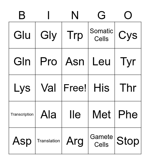 Protein Synthesis Bingo Card