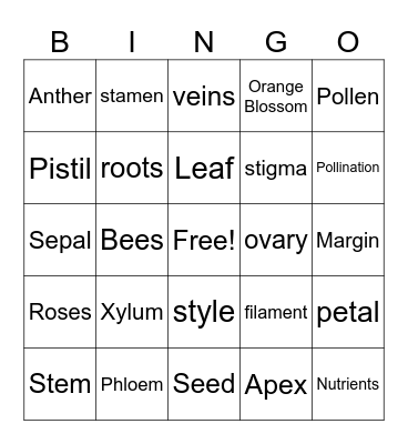 Flower Parts Bingo Card