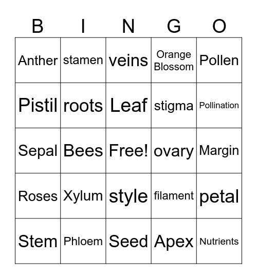 Flower Parts Bingo Card