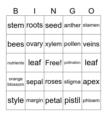 Flower parts Bingo Card