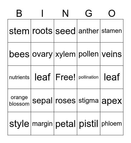 Flower parts Bingo Card